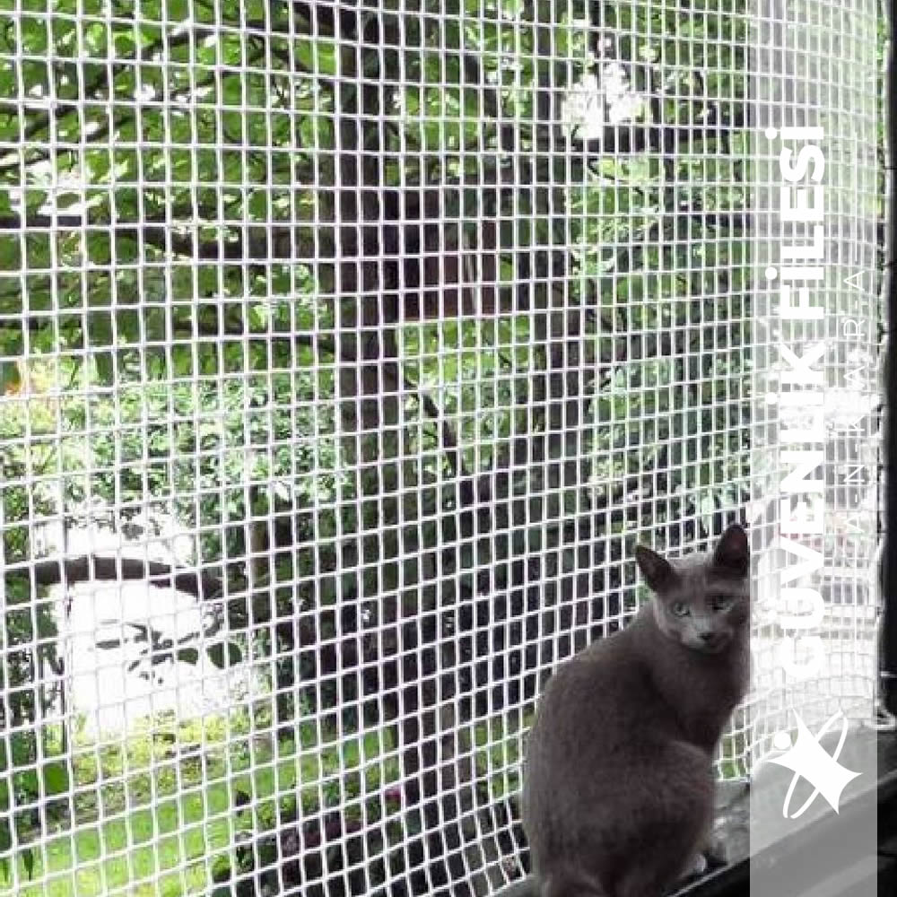 kedi-guvenlik-filesi